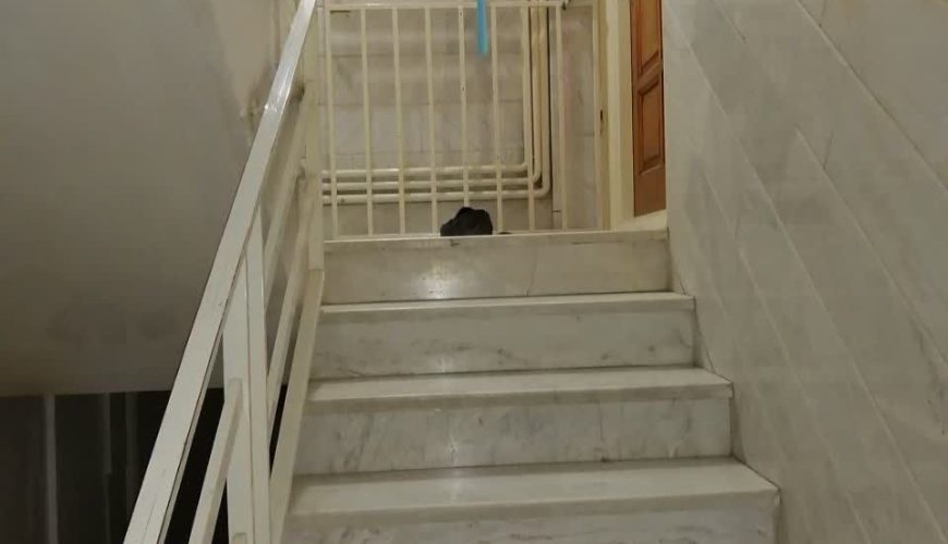 80 متری باغ فیض