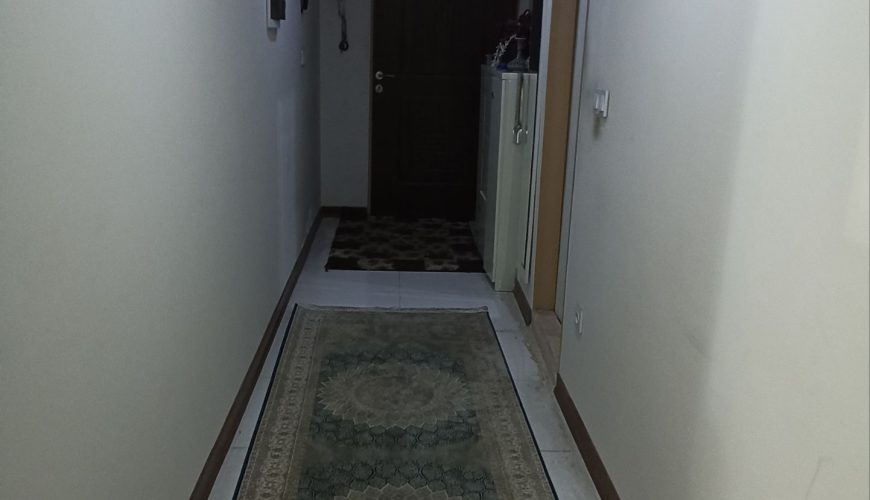 115 متر نورگیر ایران زمین